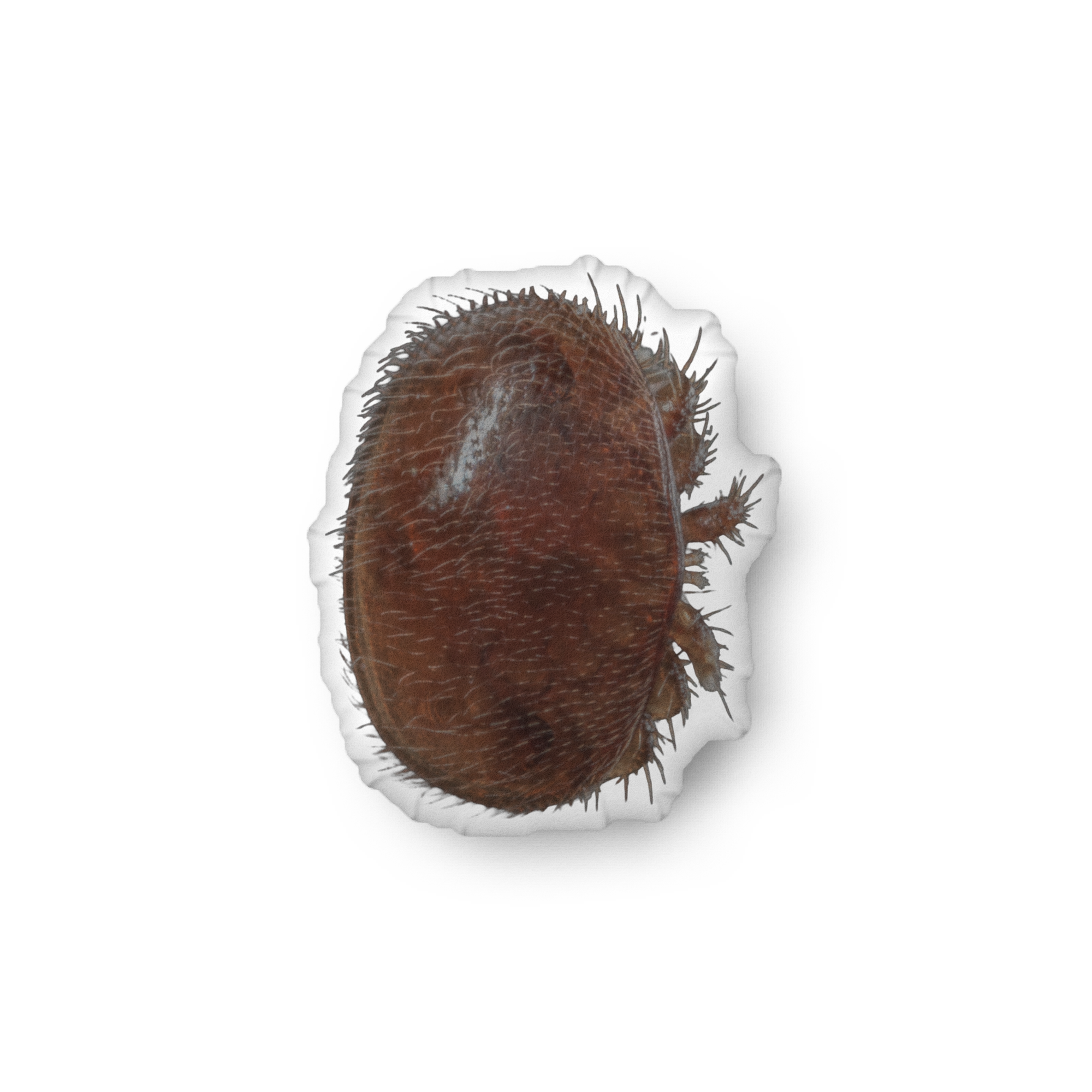 Varroa Mite Custom-shaped pillow - Image 3