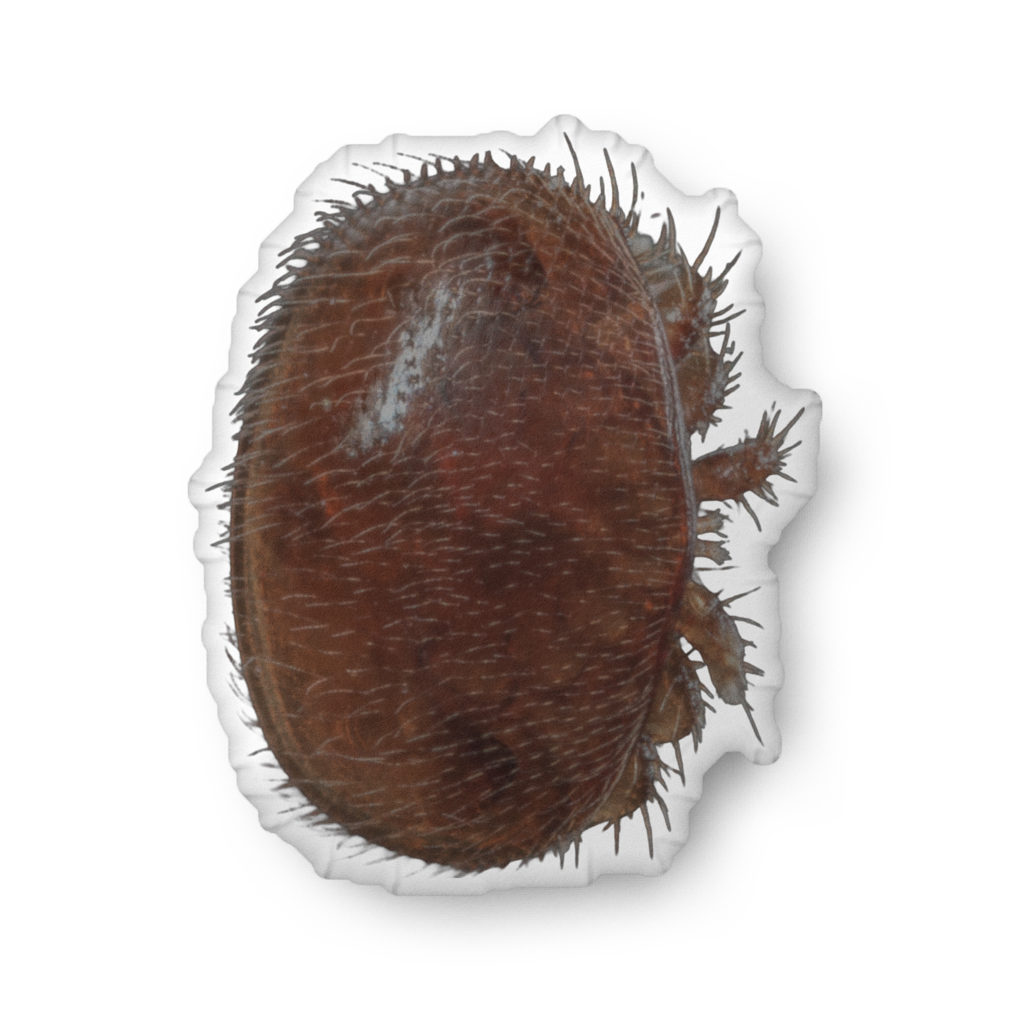 Varroa Mite Custom-shaped pillow