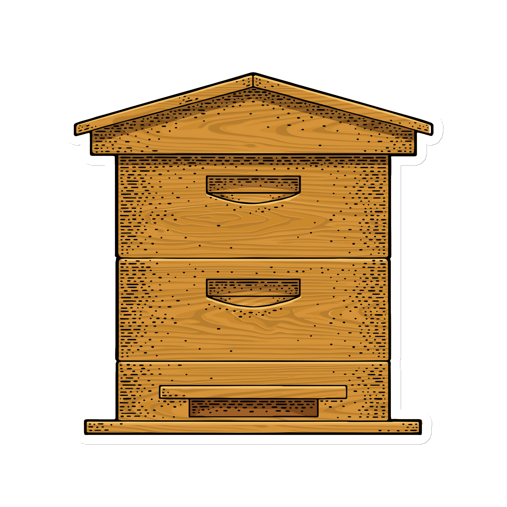 Honey Bee Hive Magnet