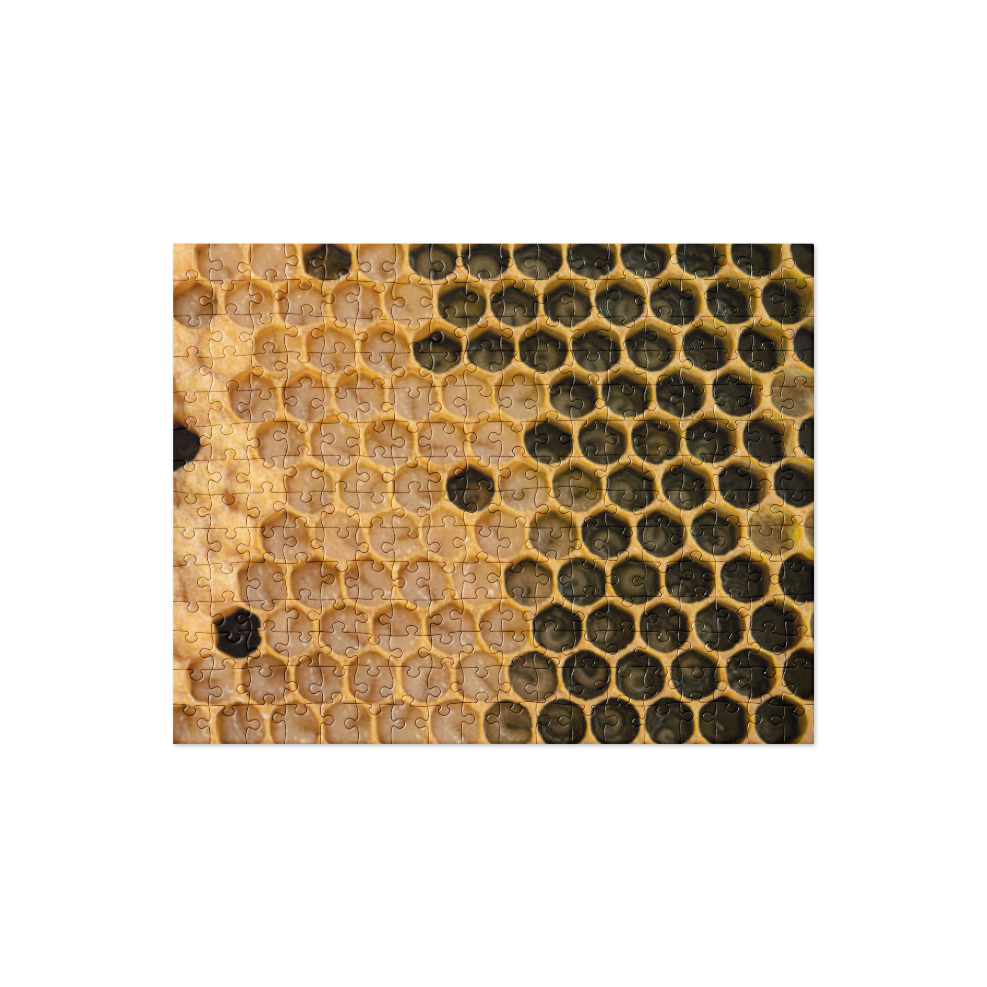 Capped and Uncapped Brood Jigsaw puzzle