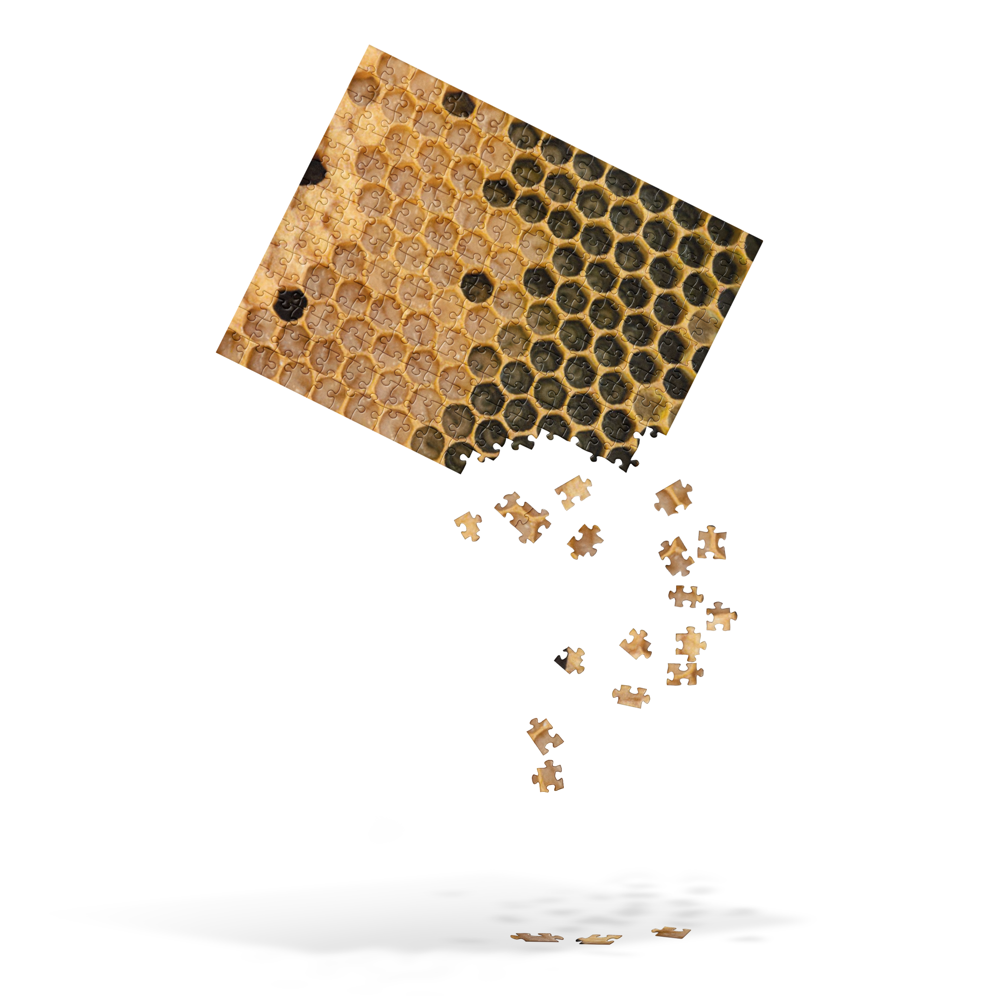 Capped and Uncapped Brood Jigsaw puzzle - Image 3