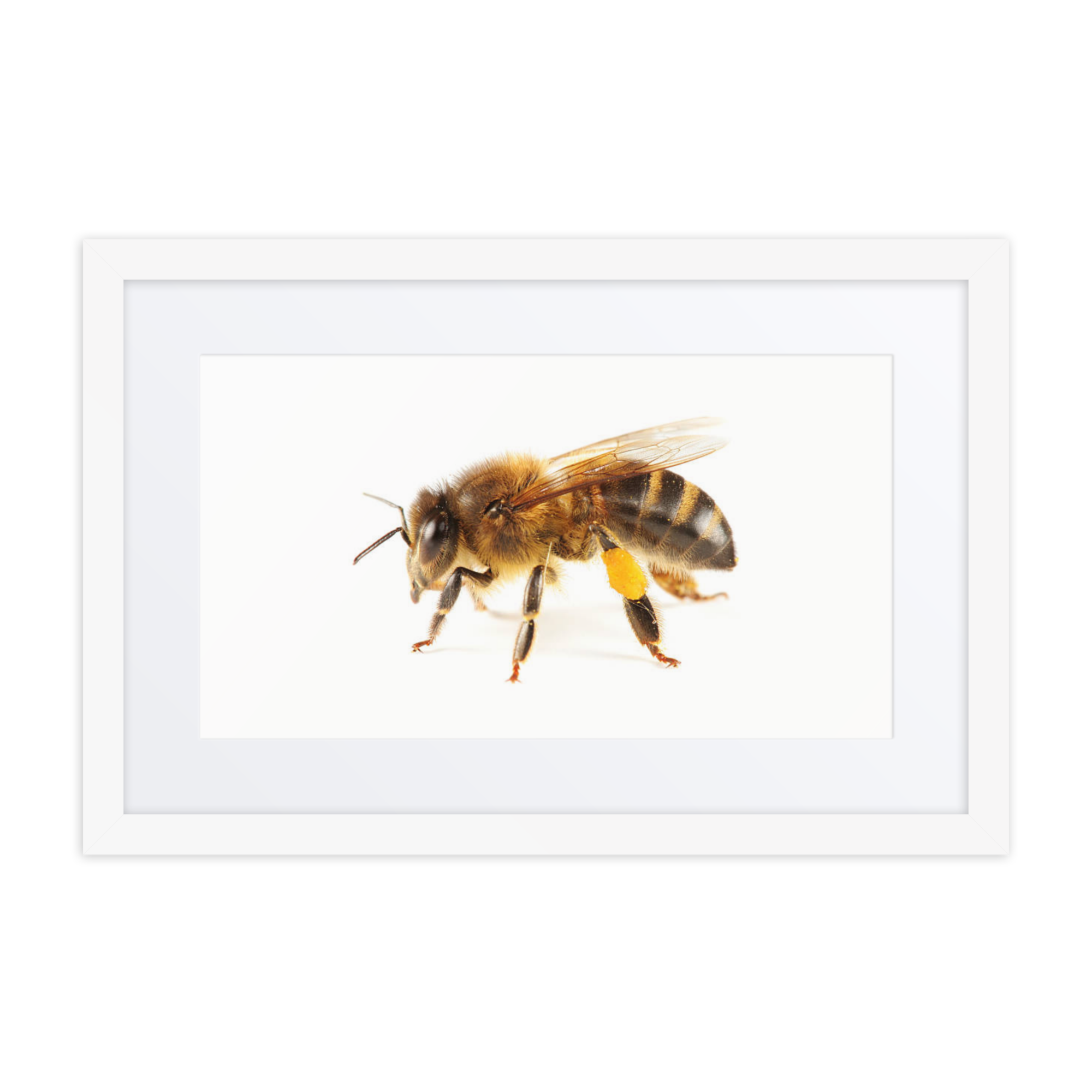 Honeybee Framed poster - Image 2