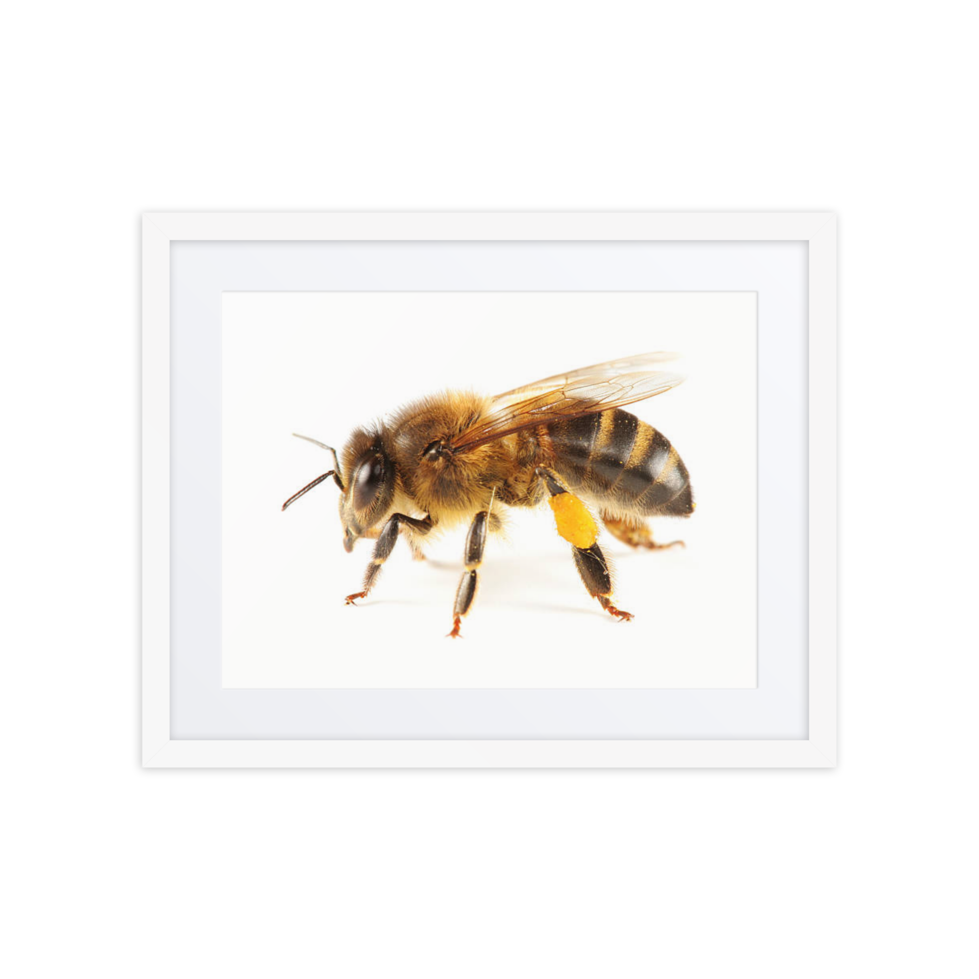 Honeybee Framed poster - Image 3