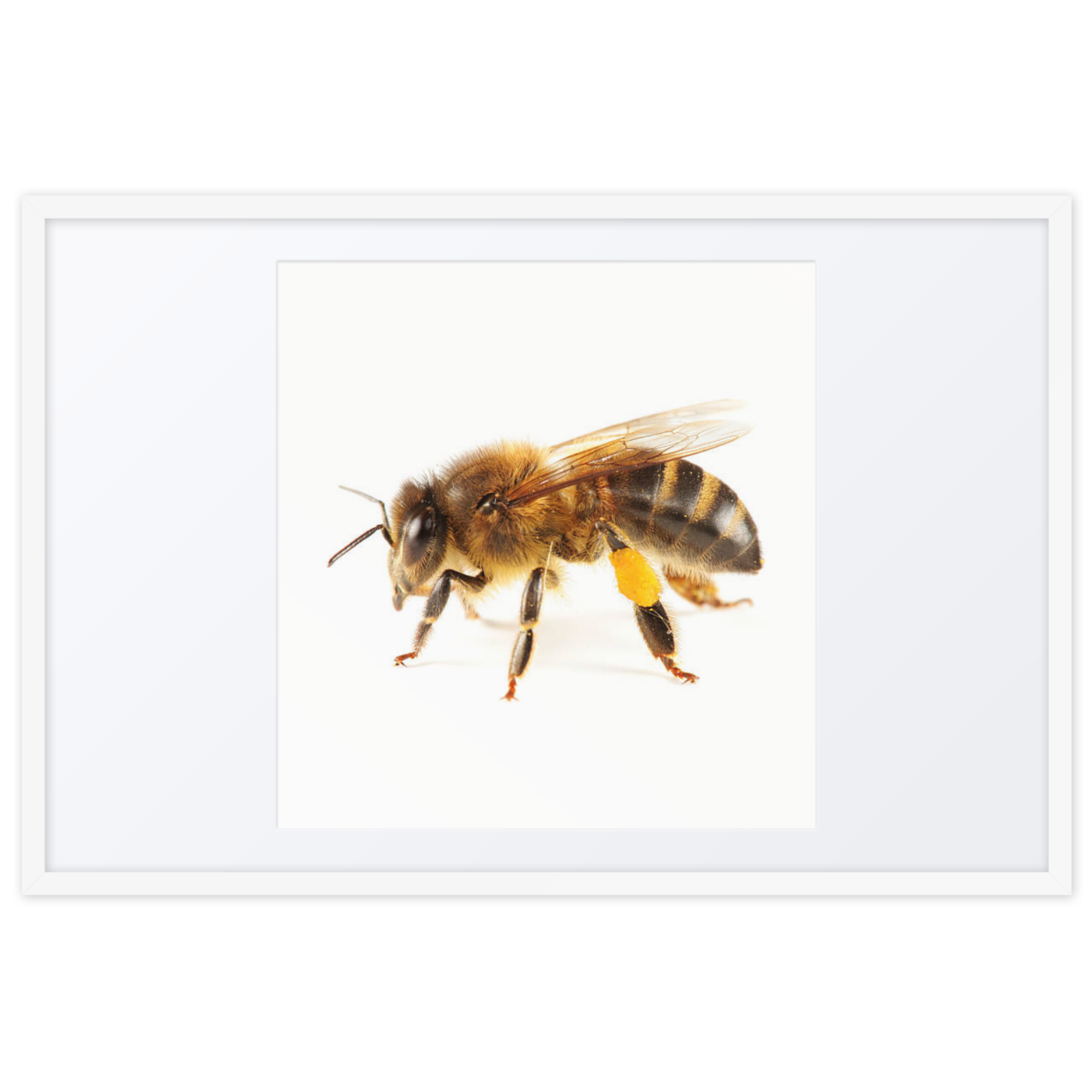Honeybee Framed poster - Image 5