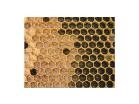 {{brizy_dc_image_alt entityId=