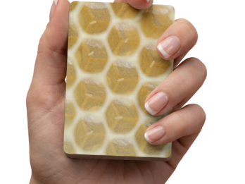 {{brizy_dc_image_alt entityId=