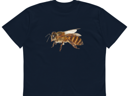 {{brizy_dc_image_alt entityId=